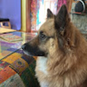 Meet your Posher, Emilie